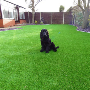 Artificial Grass 30mm Astro Garden Realistic Natural Turf fire resistant artificial grass artificial turf for dogs