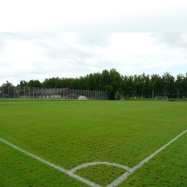 Hot sale soccer pitch artificial lawn soccer field turf artificial turf for sale