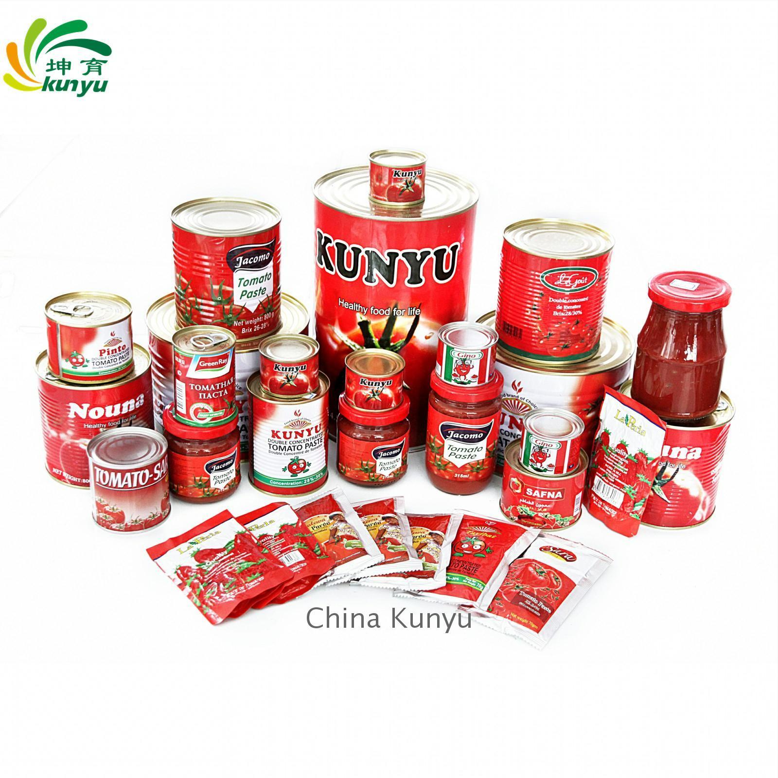 Halal Tomato paste canned food 22-24% Brix Easy Open Tomato Paste