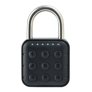 Small Waterproof Safety Drawer Device Mini Fingerprint Padlock Fingerprint For The Outside Door