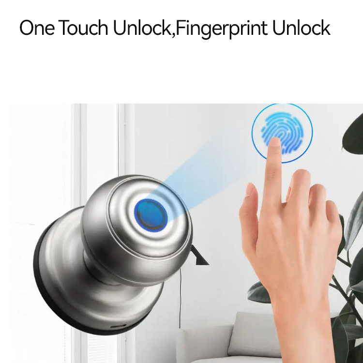 Hot-selling Fingerprint Ble Door Lock Keyless Ball Knob Digital Bedroom Door Lock