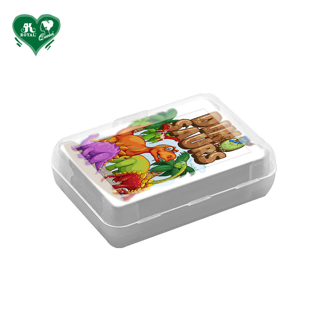 Custom Design Plastic Box Mini Poker Card Playing Cards