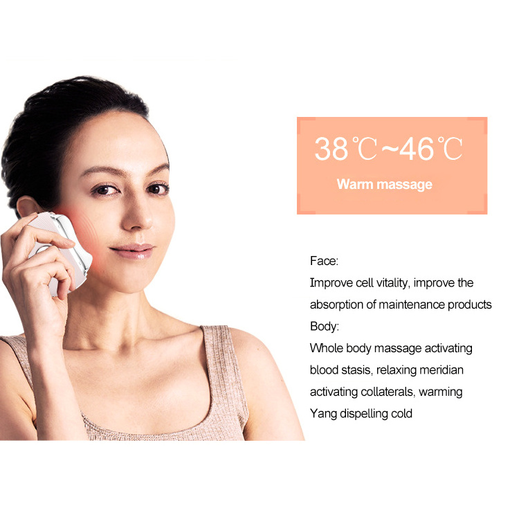 Microcurrent Anti-Aging Skincare Repair Facial Gua Sha Massager EMS Vibration Lift Cooling Facial Ice Roller For Eye Face Body