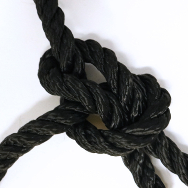 hollow braid polyester rope