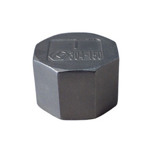 304 or 316 Stainless Steel Pipe Fittings Female Hexagon Cap