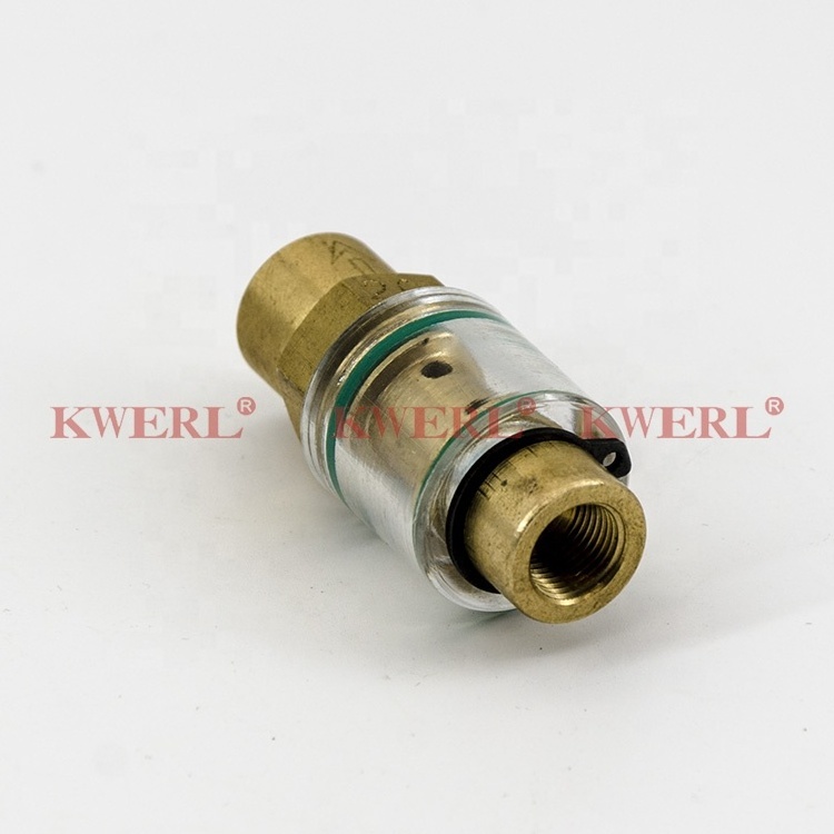 China Manufacturer Supply Screw air compressor Spare Parts One Way Check Valve Non Return Valve