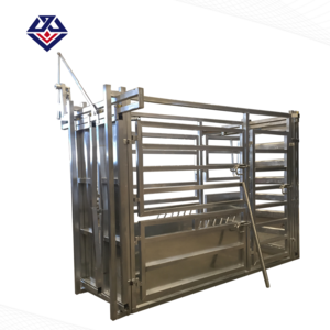 Squeeze cattle food crush head holder design headlocks with weighing scale trailer