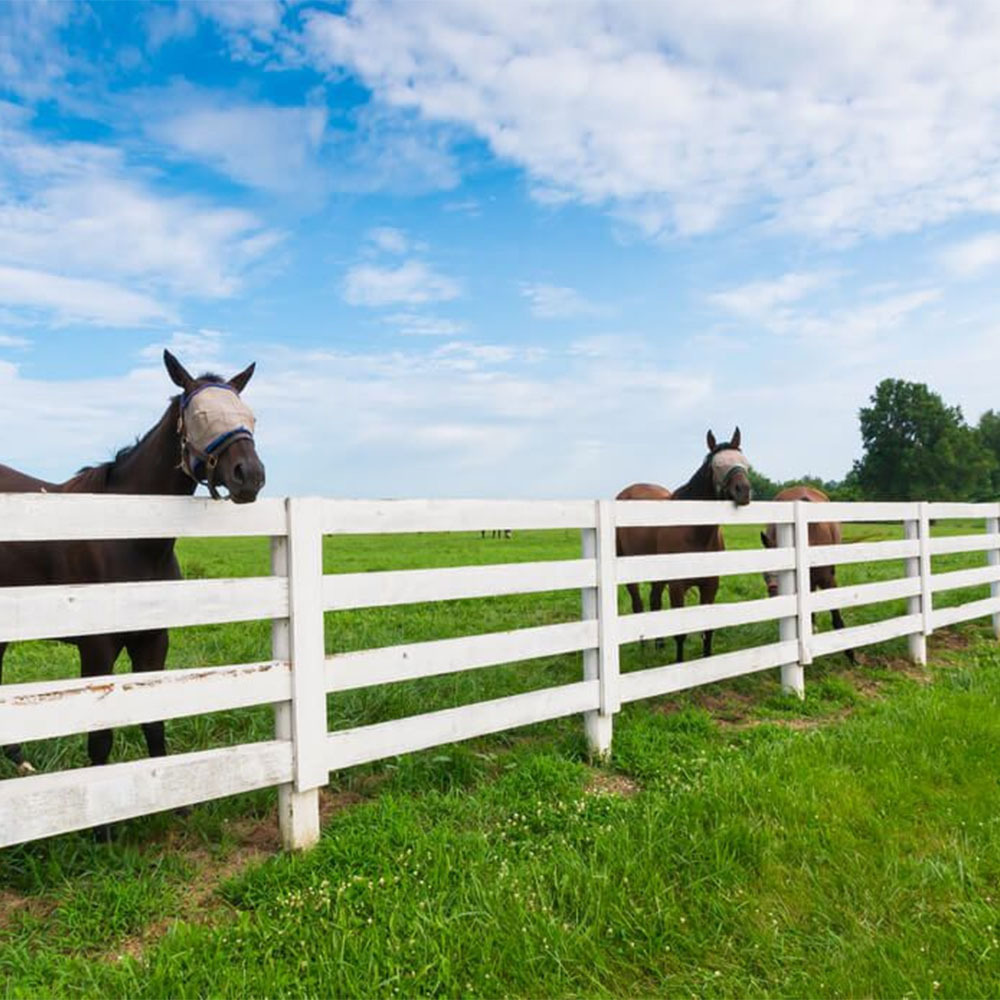 High Quality Heavy-Duty Vinyl 3- and 4-Rail PVC Horse Farm Split Rail Fence Quality Fencing Trellis & Gates Product