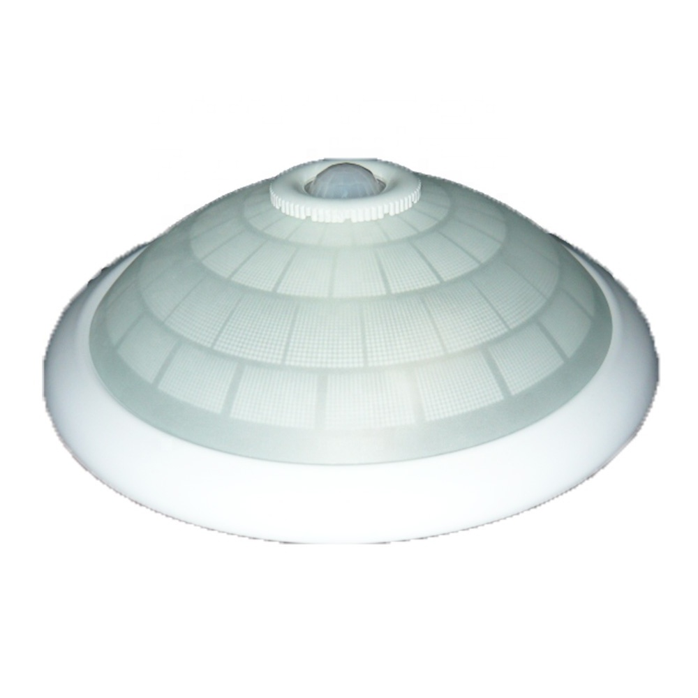 PIR Lighting hot sale Surface Mounted Motion Sensor Ceiling Light Battery Operated Indoor/Outdoor LED Ceiling Lamp