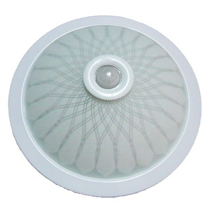 PIR Lighting hot sale Surface Mounted Motion Sensor Ceiling Light Battery Operated Indoor/Outdoor LED Ceiling Lamp