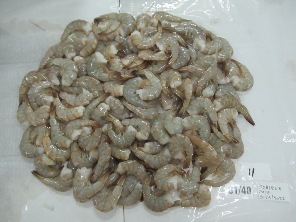 KWS Frozen headless shell on vannamei shrimps frozen shrimps