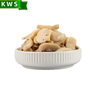 KWS factory price canned champignon mushroom pieces and stems pns