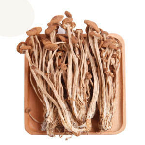 KWS High Quality Tea Tree Mushroom New Fresh Dried Agrocybe