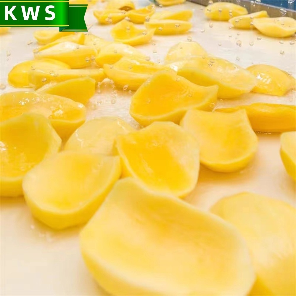 KWS Canned Fruits Canned mango in light syrup