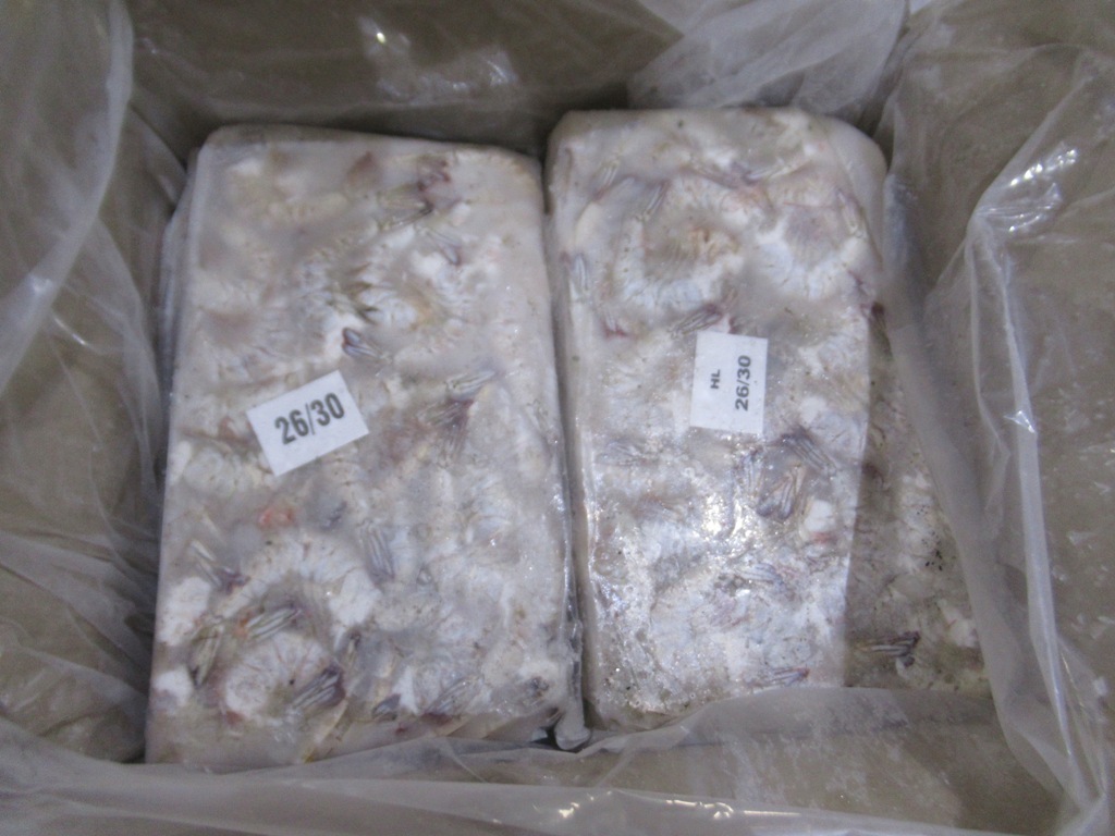 KWS Frozen headless shell on vannamei shrimps frozen shrimps