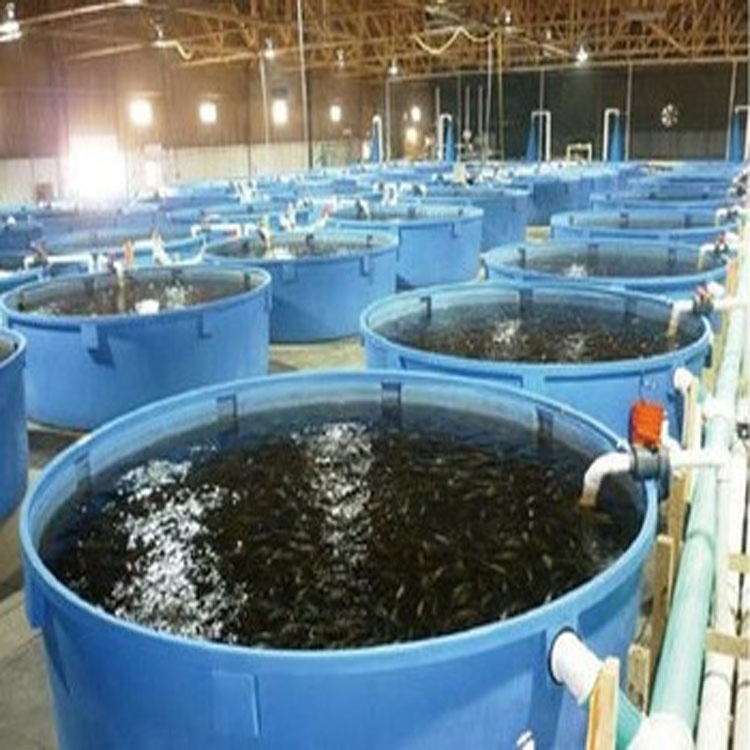 2022 Polyethylene cylindrical FRP aquaculture tubs round large fish farming tank for commercial use