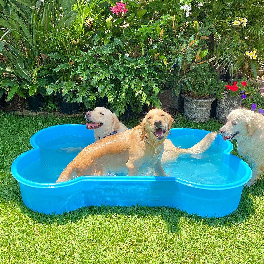 hot sale wholesale customized size private outdoor inground children fiberglass dog swimming lap container piscina pools shell