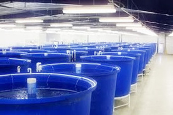 2022 Polyethylene cylindrical FRP aquaculture tubs round large fish farming tank for commercial use