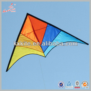 Chinese big delta kite for sale