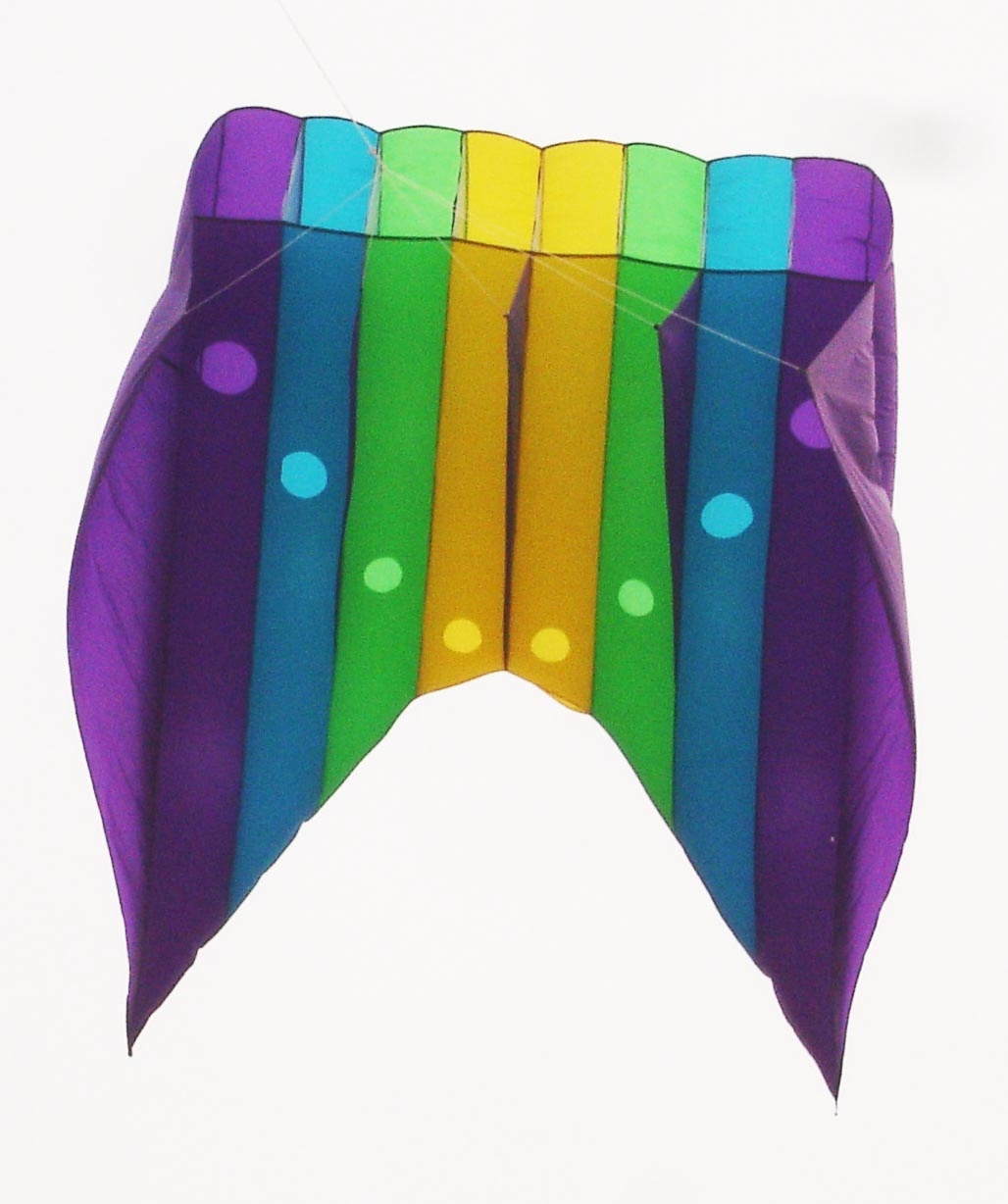 LED Night Kite