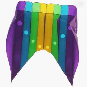 LED Night Kite