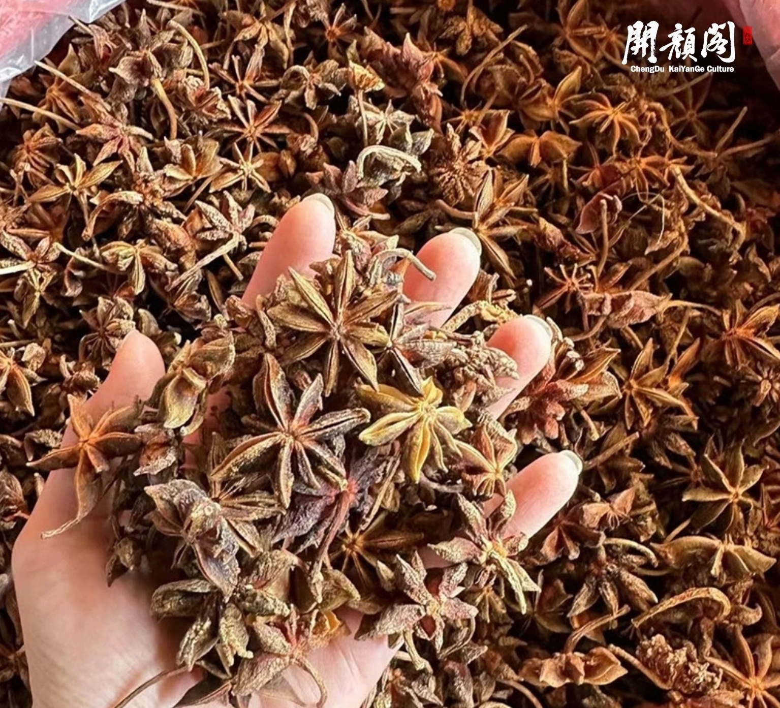 KAIYANGE Good quality natural Whole star anise octagonal spicy single spices wholesale condiments octagonal bulk supply