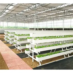 Agriculture Greenhouse Cocopeat Growing Bags Hydroponics Strawberry Gutter System