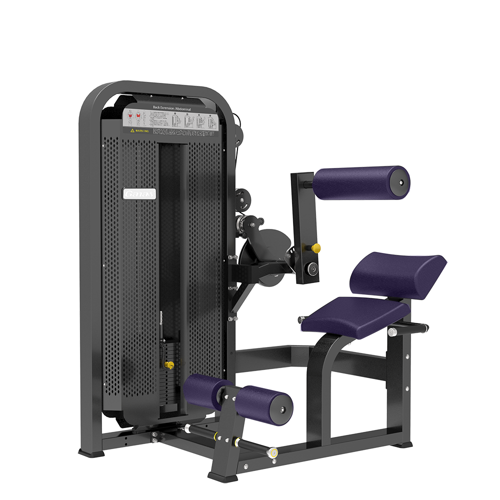 Ganas New Arrival  Luxury Gym Equipment Supplier Abdominal crunch/Back extension Machine In Guangzhou