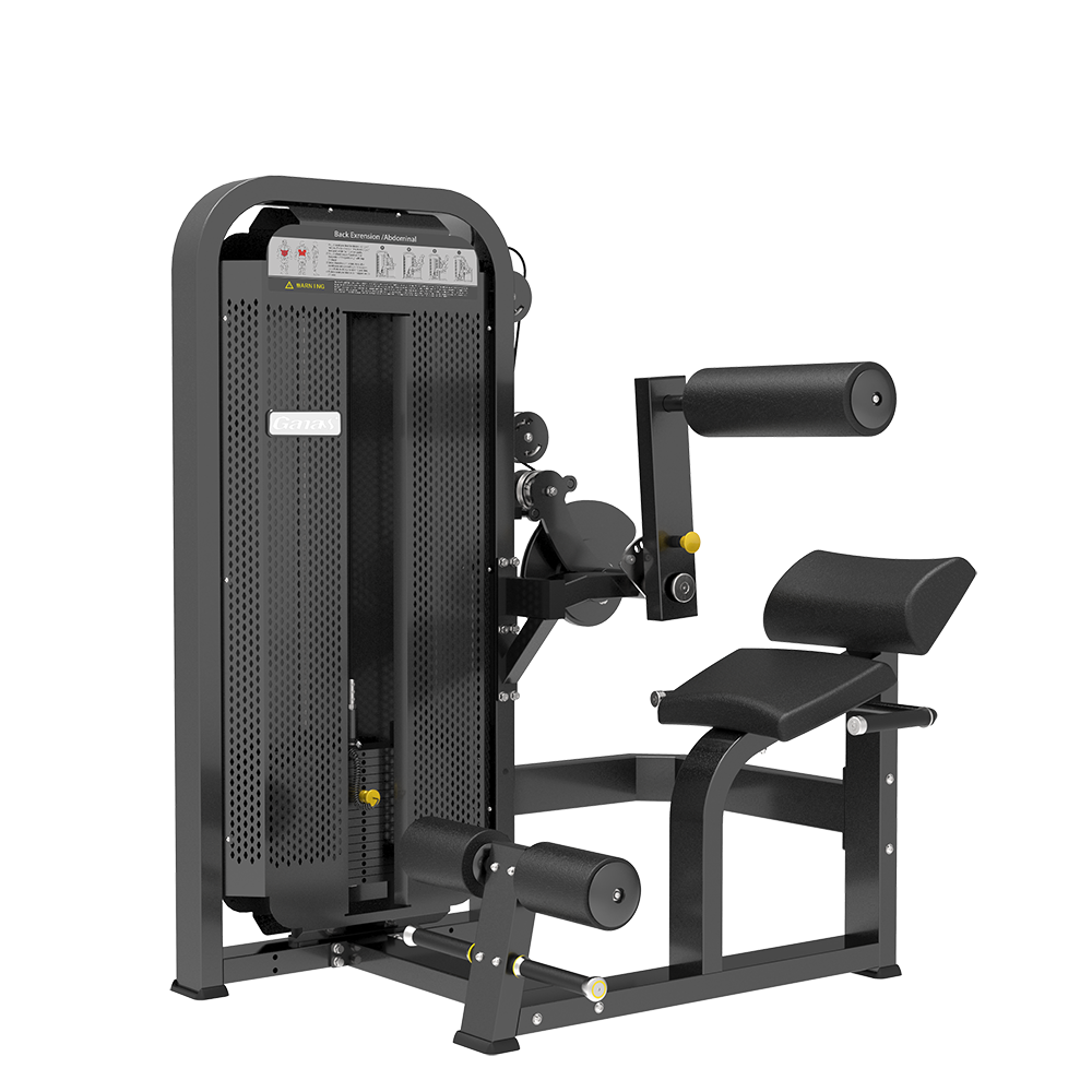 Ganas New Arrival  Luxury Gym Equipment Supplier Abdominal crunch/Back extension Machine In Guangzhou