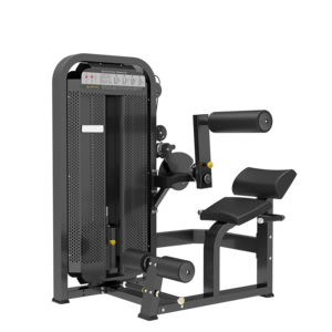 Ganas New Arrival  Luxury Gym Equipment Supplier Abdominal crunch/Back extension Machine In Guangzhou