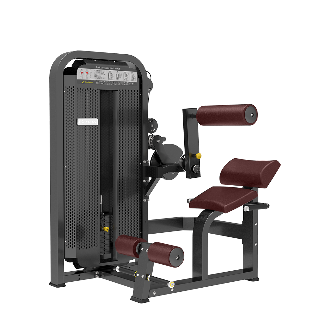 Ganas New Arrival  Luxury Gym Equipment Supplier Abdominal crunch/Back extension Machine In Guangzhou