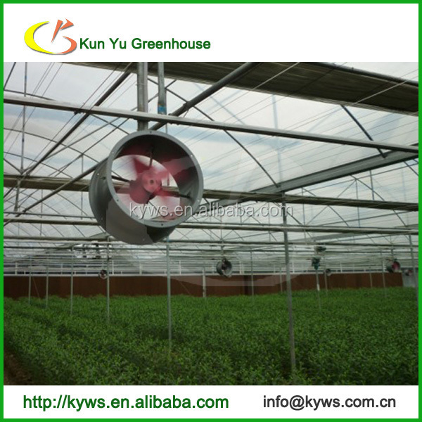 Agricultural Greenhouse Circulation Fans Exhaust Fans