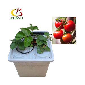 Kunyu Wholesale Greenhouse Dutch Bucket Hydroponic System For Tomato Growing