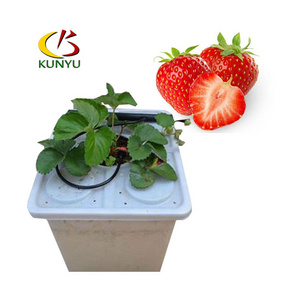 KY Hydroponics Grow Aeroponics System Kit Dutch Bucket For Aquaponics And Bato Buckets