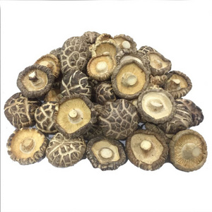 Factory Price Wholesale Mushrooms Morel Mushroom Farm Black Morel Low Price