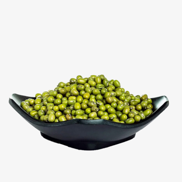 Vietnam Manufacturer Factory Price Green Mung Bean Peeled Green Beans