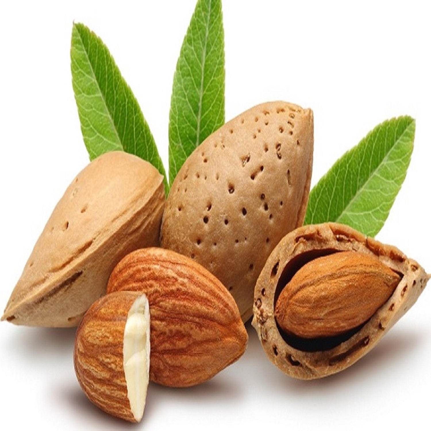 Almonds and Walnuts Are Sweet Fruits Cheap Price Premium Almond Nuts Food Snack Raw Almonds Dates Fruit Dried Fruit