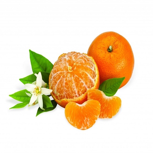 wholesale Fresh Orange Valencia Orange Naranja Mexico Fresh Valencia Naval Orange