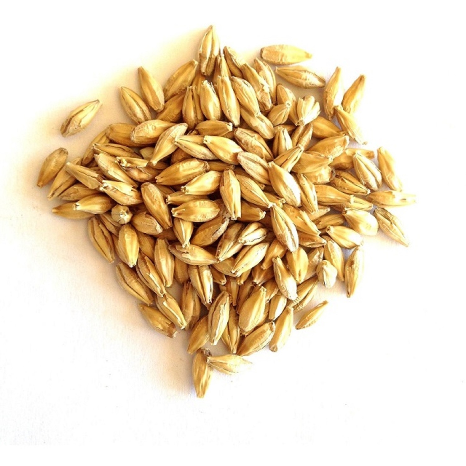 100% Malt Barley, Hulled Barley, Pearl Barley For Sal Animal Feed and Human/ Barley Malt China