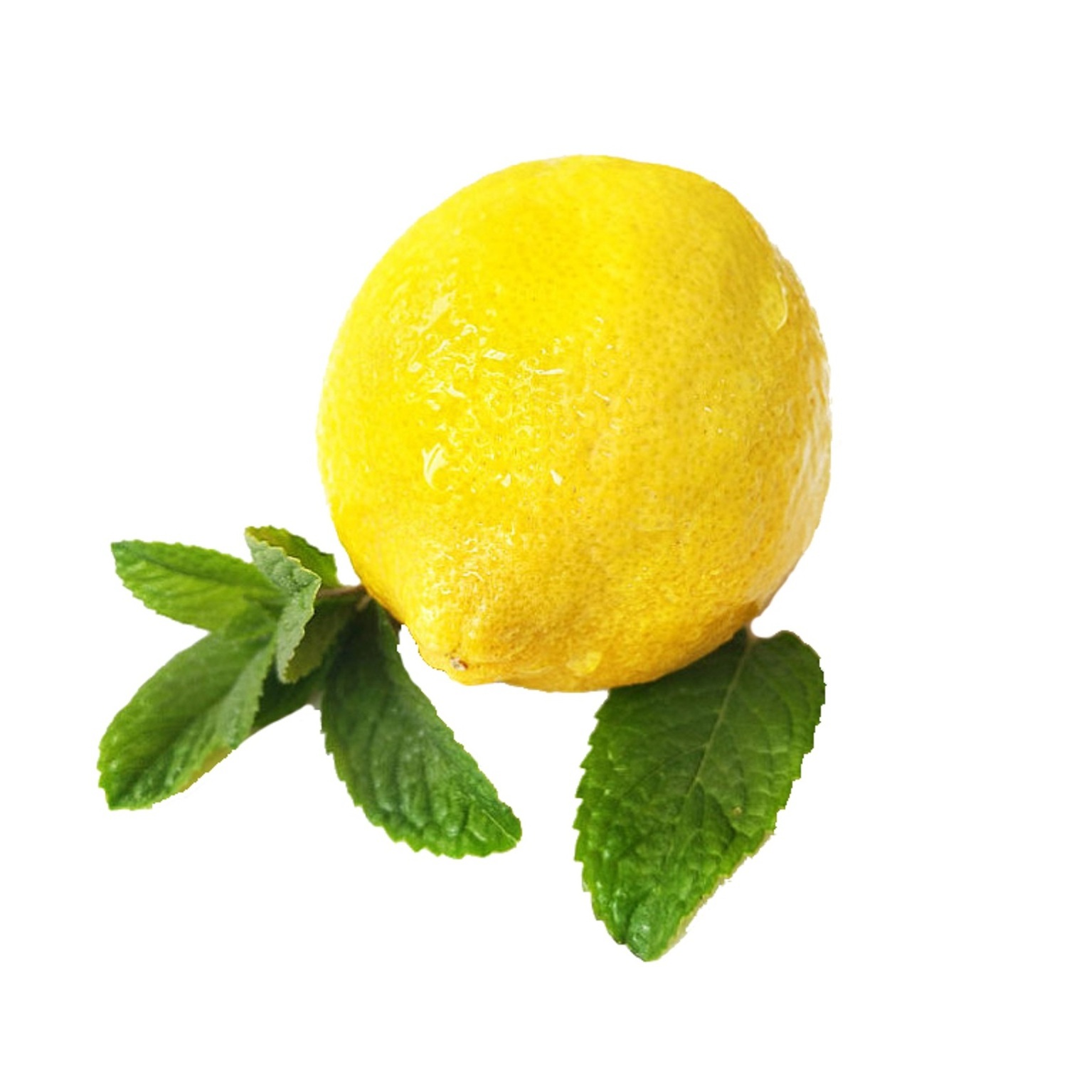 FRESH GREEN Lemons / Cheap fresh lemons in Vietnam / High quality seedless fresh lemons