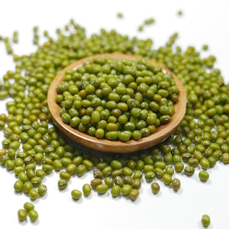 Vietnam Manufacturer Factory Price Green Mung Bean Peeled Green Beans