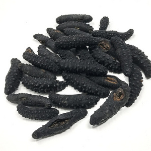 Dried Good Price Fresh Seafood Simonfish Amsterdam Delicious Sea Cucumber polii tubulosa greek sea cucumber