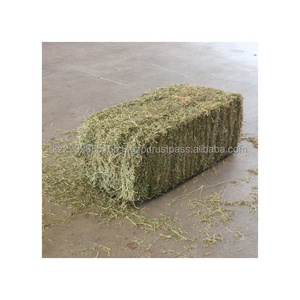 Alfalfa for animal feeding good for cows pigs sheep horses etc high quality manufacturer prices alfalfa feed for sale