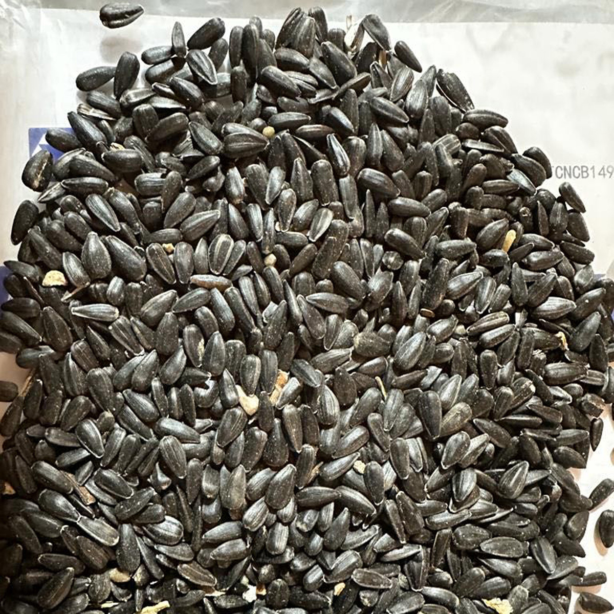 Sunflower seeds