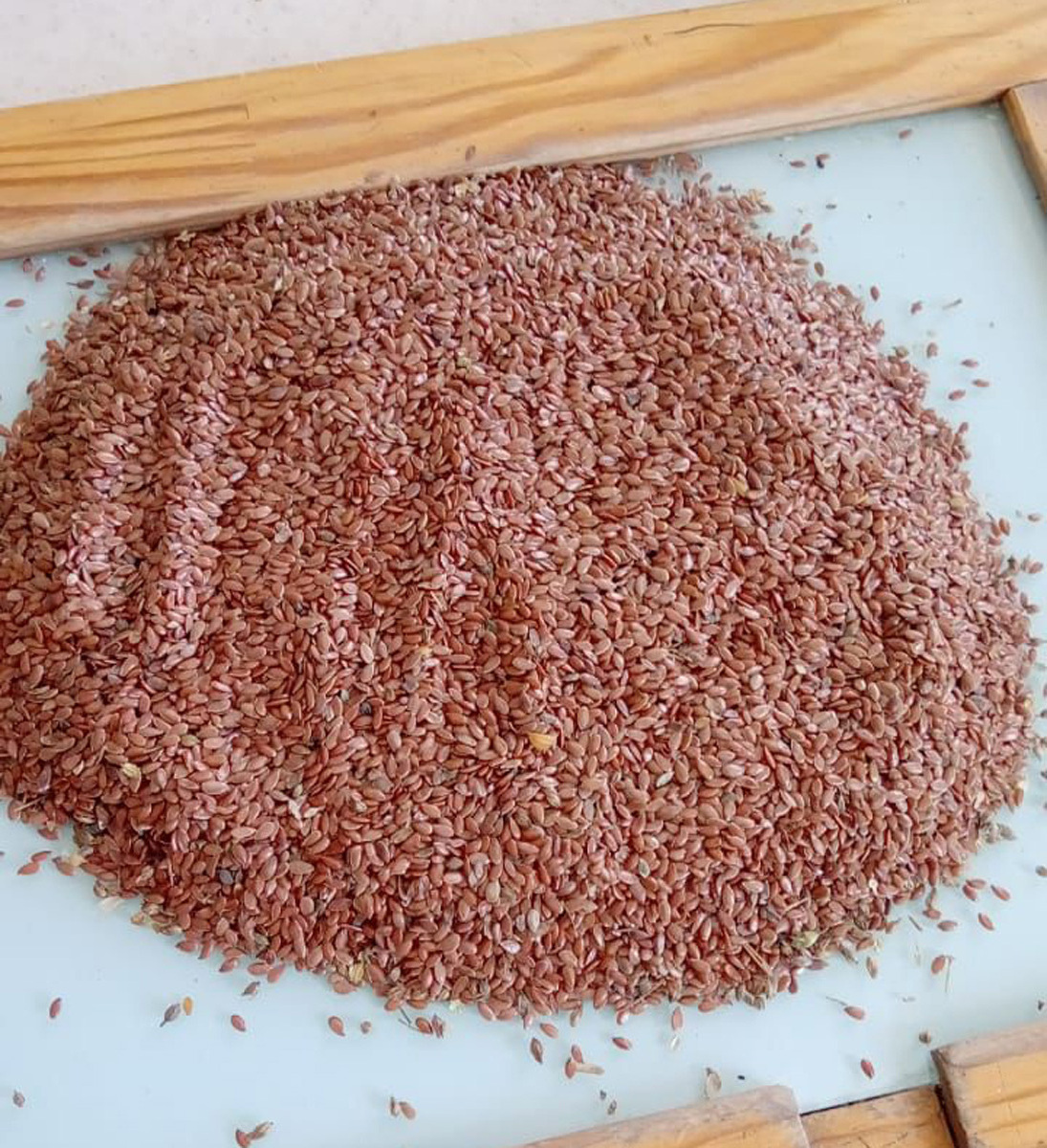 Flax seeds