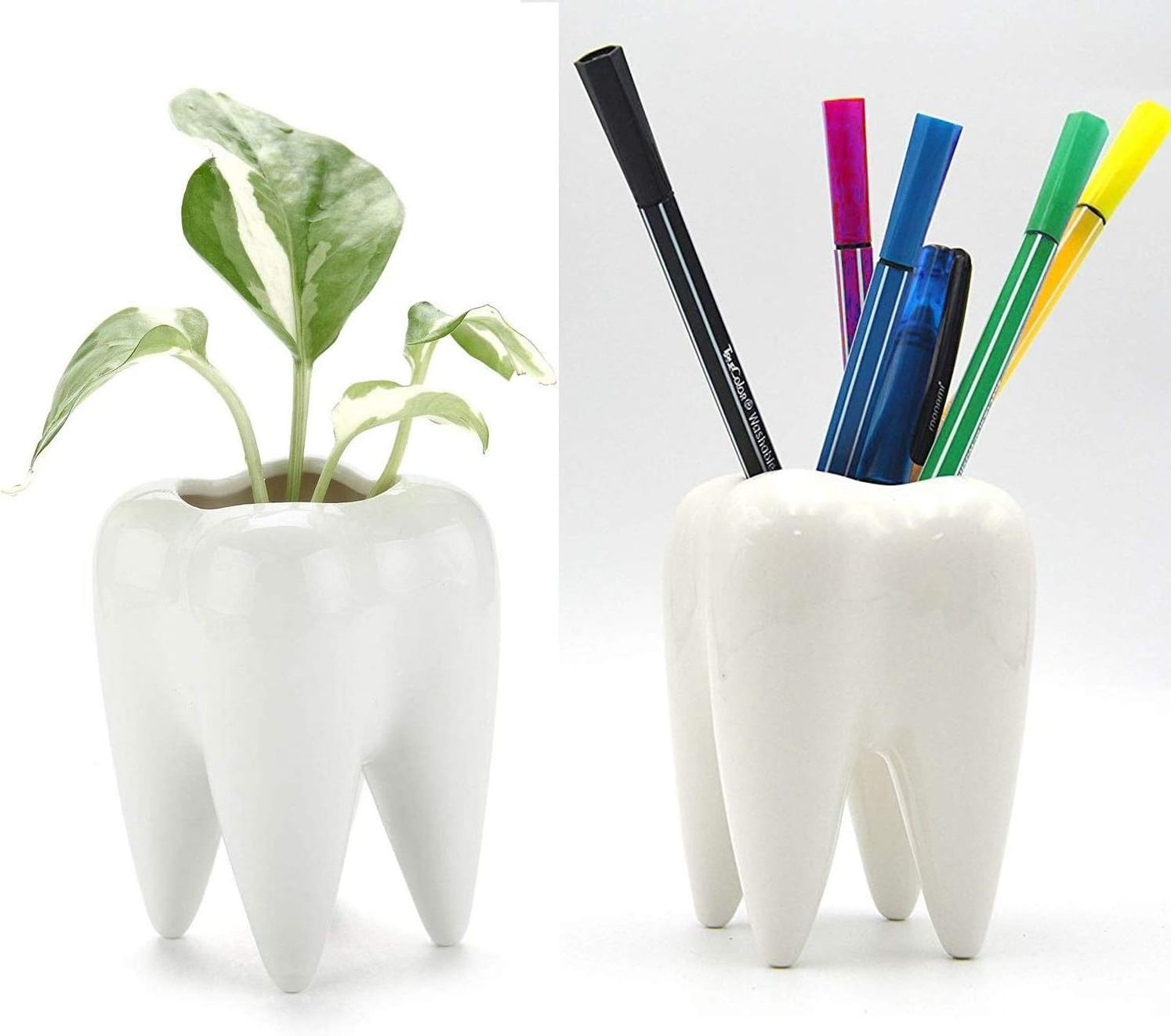 Ceramic Tooth Shape Succulent Cactus Planter Pot Modern Style Creative Pen Pencil Brush Holder for Desk Decoration