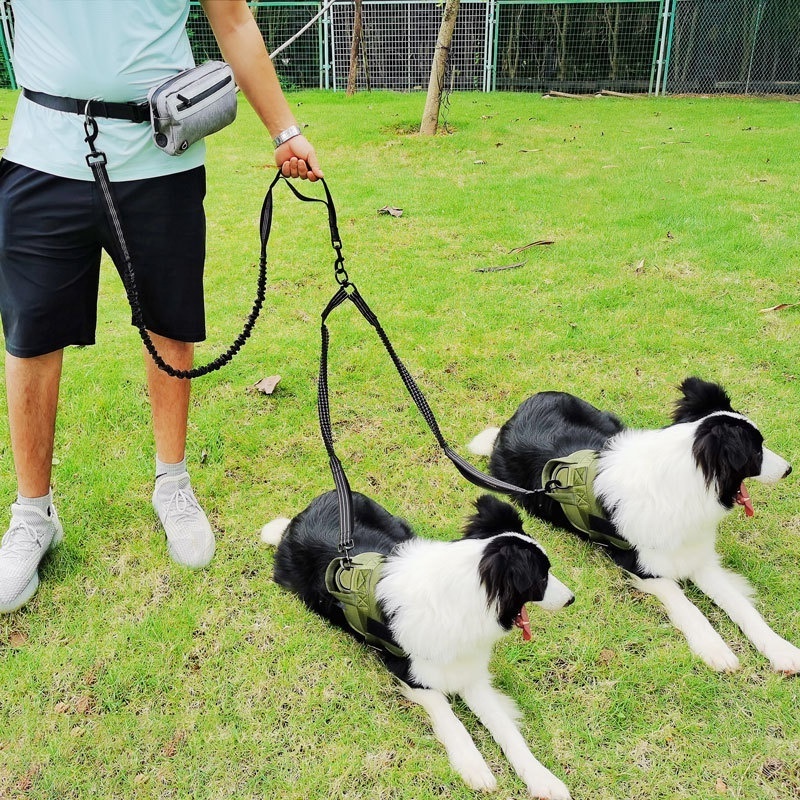 Hands Free Dog Leash for Running Walking Jogging Training Hiking Retractable Bungee Dog Running Waist Leash With Waist Bag