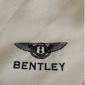 Custom Name Logo Self Adhesive Fabric Embroidery Patches for Clothing