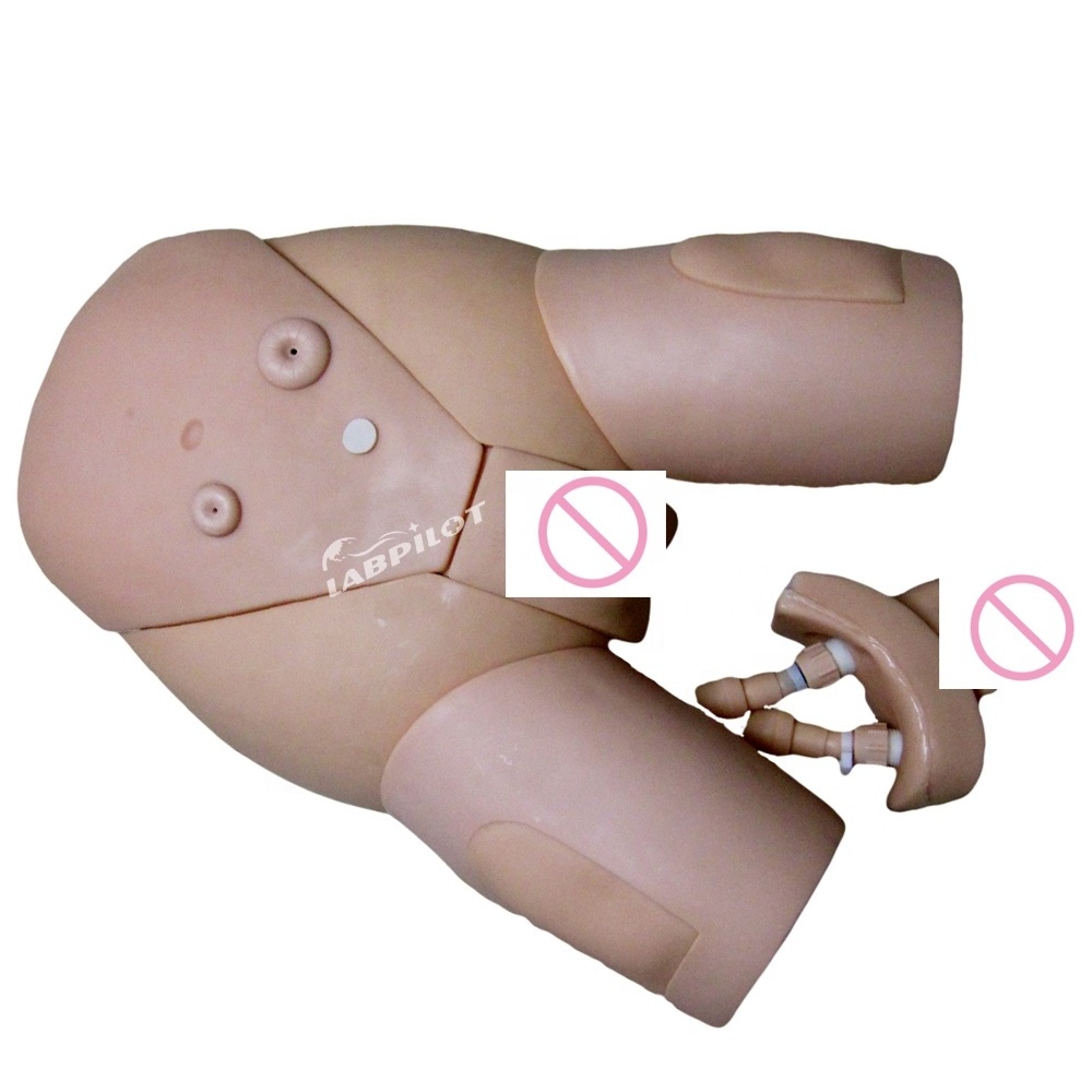 Medical Training Model Male Catheterization Model, IM Injection