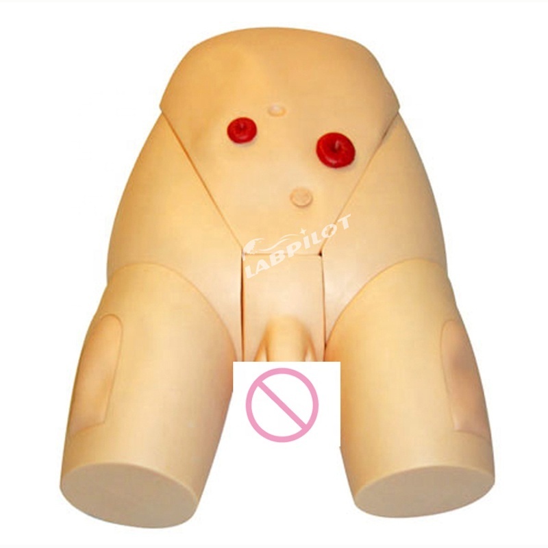 Medical Training Model Male Catheterization Model, IM Injection